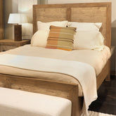 Hector Multicolor Pillow